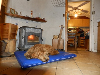 bommel1