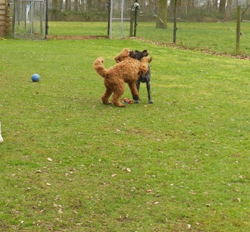 bommel23