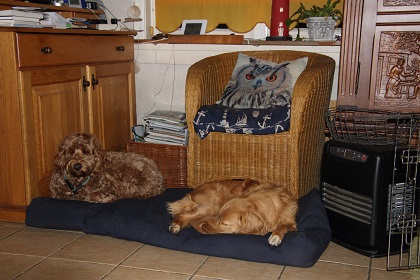 bommel32