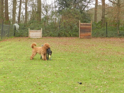 bommel6