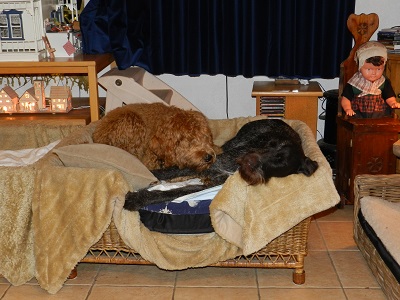 bommel8
