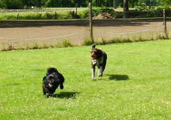 borisz17