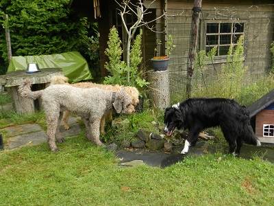 floris10