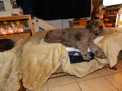 floris114