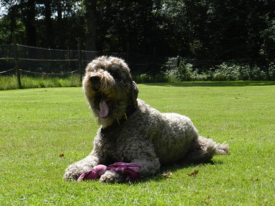 floris12