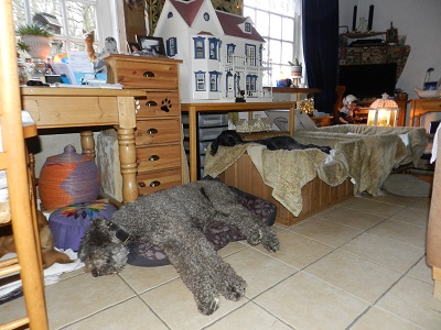 floris138