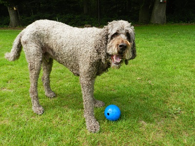 floris162