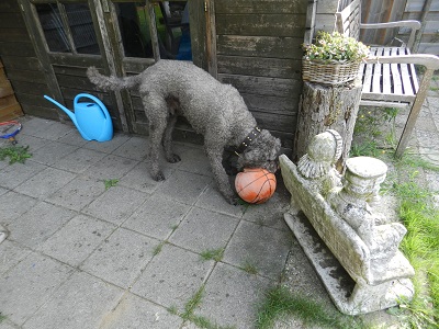 floris170