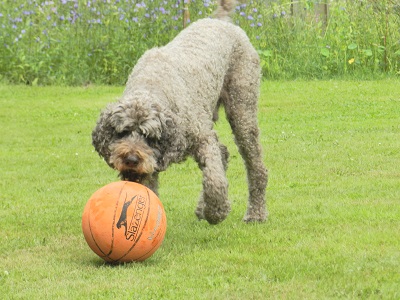 floris177