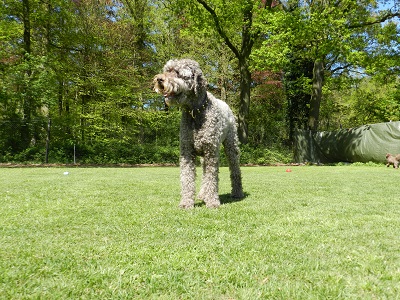floris35