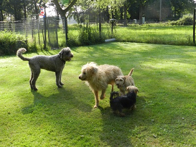 floris5