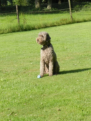 floris6