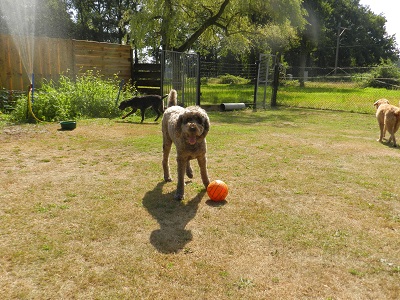 floris73