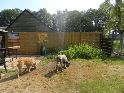 floris76