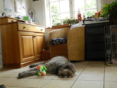 floris8