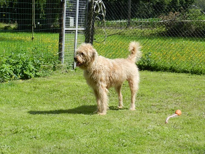 gerda281