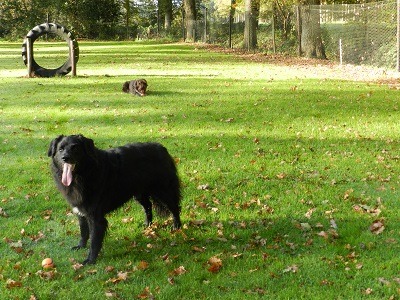 hannes10