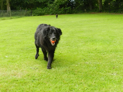 hannes100