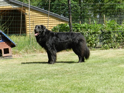 hannes2