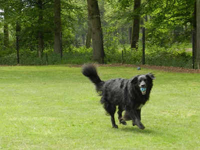 hannes23