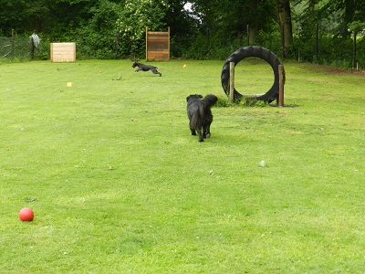 hannes47
