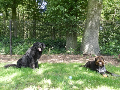 hannes5