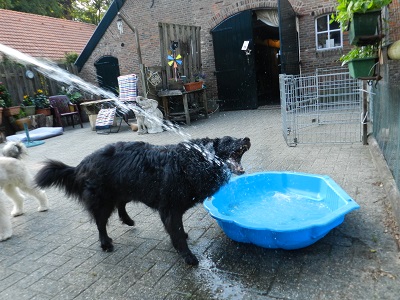 hannes57