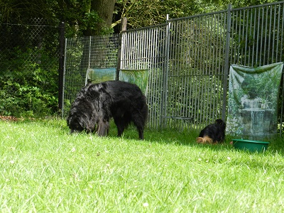 hannes6