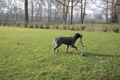 ilse76