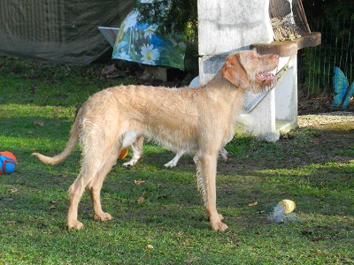jans56