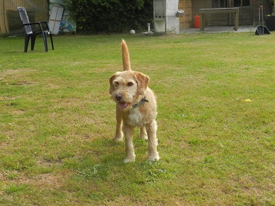 jolan2004