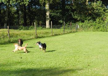 jolan33
