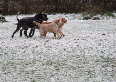 jolan815