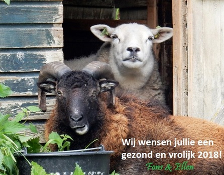 Kerst 2017