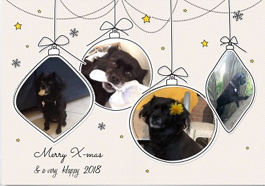 kerstkaart blacky
