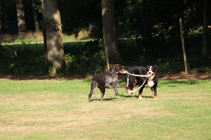 lisam92