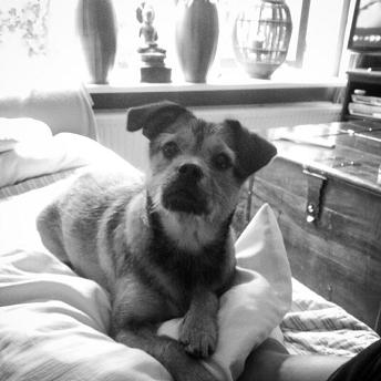 Lotti34