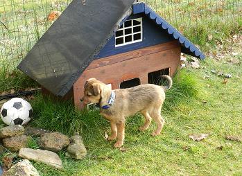 lotti