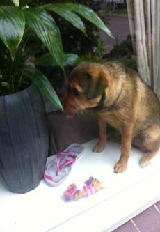lotti27