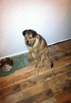 lotti48