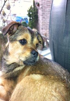 lotti7