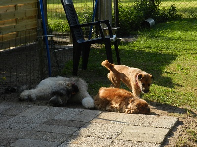 luca10