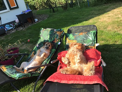 luca en benny aan het zonnen