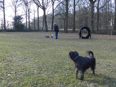 meissy4