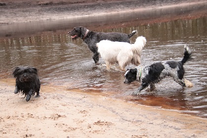 oh2807