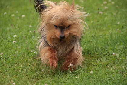 oh2860