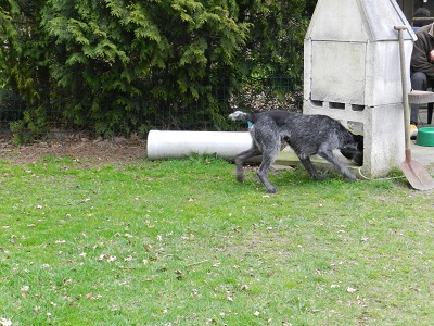 oh1506