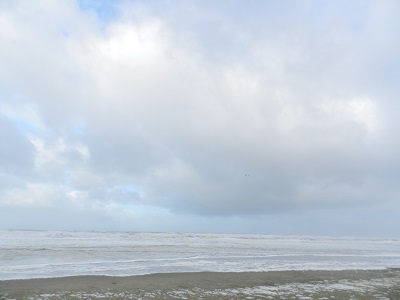 oh1184