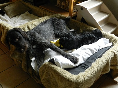 oh1253