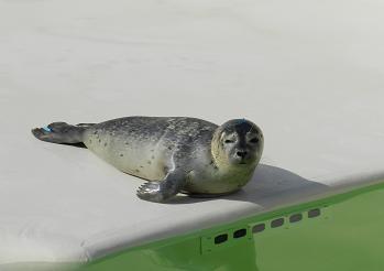 oh320